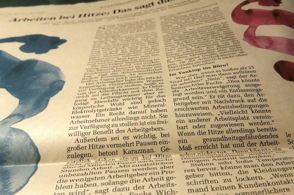 Zeitungsartikel DerStandard